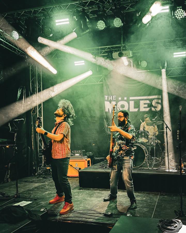 The Möles live — Foto 6